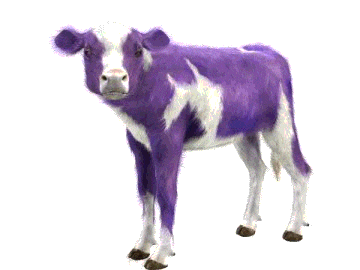 vaca purpura